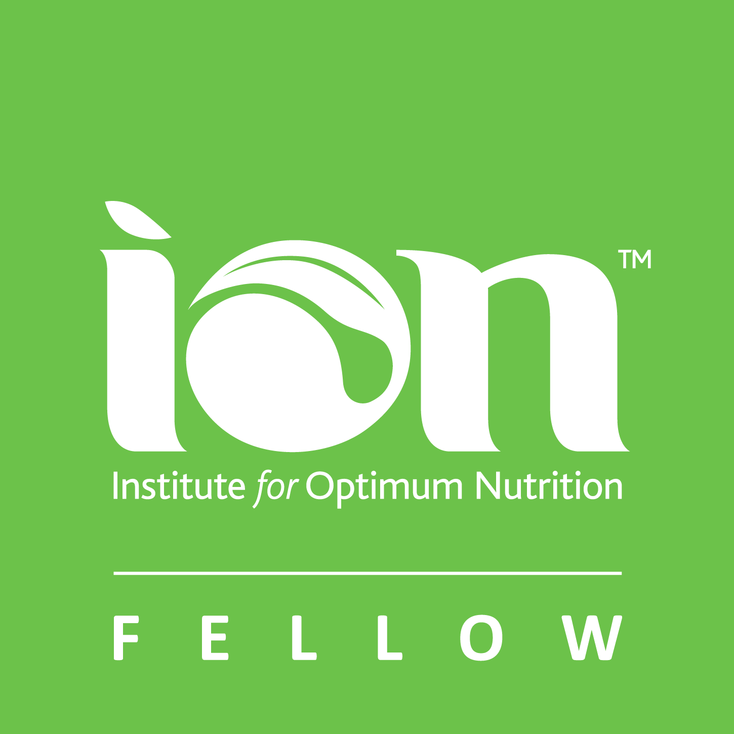 ION Fellow logos_0724_V1